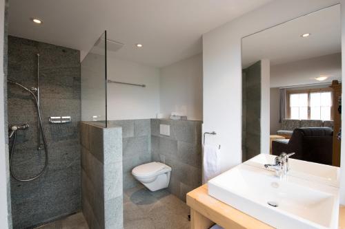 a bathroom with a shower and a toilet and a sink at Hotel Postigliun Andiast in Andest