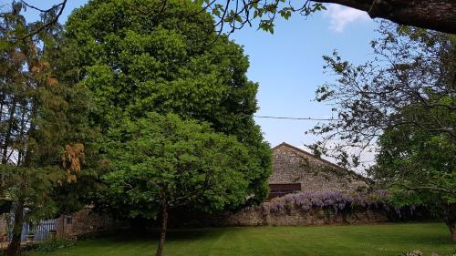 a tree in a yard next to a stone wall at Le Clos de la Font Queroy in Vouthon