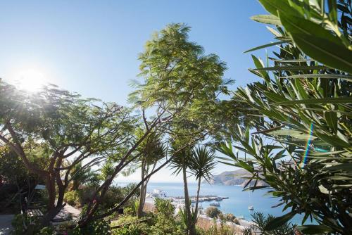 a view of the ocean from behind some trees at Erisimo in Aegiali