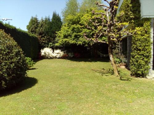 a yard with a tree and some bushes at Villa Cristina in Vezzo