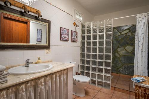 坎德拉里亞的住宿－Casitas en el Paraiso，一间带水槽、卫生间和淋浴的浴室
