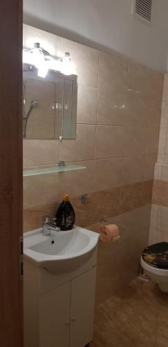 a bathroom with a sink and a toilet at Veszprem Kucko in Veszprém