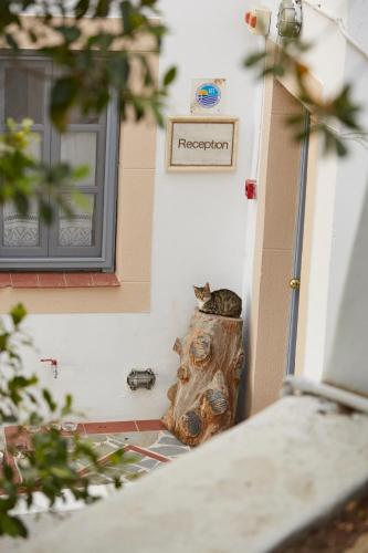 a cat sitting on top of a wooden head next to a door at 9 Muses Exclusive Apartments in Grikos