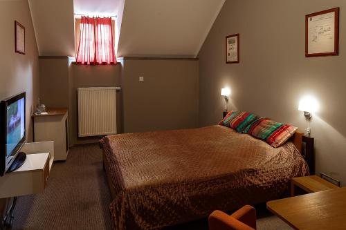 a hotel room with a bed and a television at Hotel Merlot in Louny