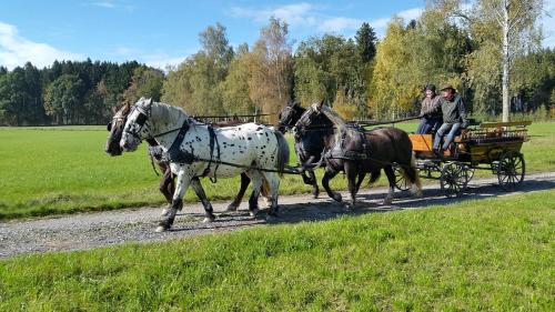 two people are riding on a horse drawn carriage at Hotel Alpenhof in Bad Wörishofen
