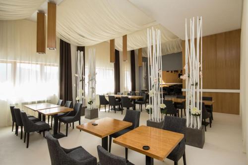 a dining room with wooden tables and chairs at Pensiunea Art 1000 in Lunca Vişagului