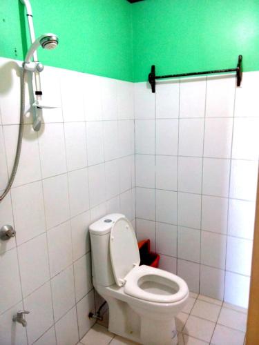 a bathroom with a toilet and a green wall at Jun and Carol Beach Cottages in Pagudpud
