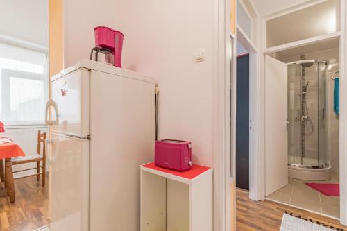 Kuchyňa alebo kuchynka v ubytovaní Cosy apartment Zupanic