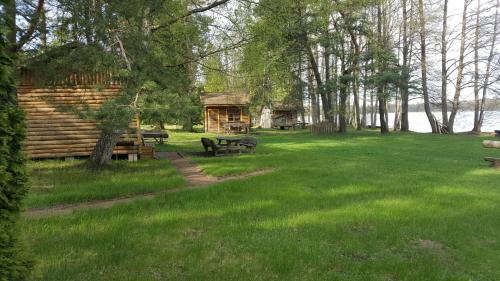 a log cabin with a picnic table in the grass at Kempings Mežmalas in Usma