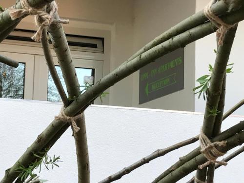 a close up of the branches of a plant at DNM Inn in Koryčany