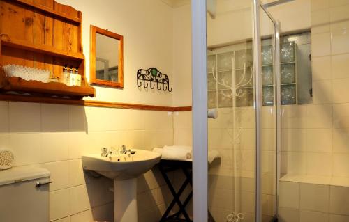 a bathroom with a sink and a shower at Centre-Ville Guest House in Franschhoek