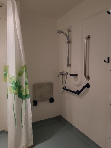 a bathroom with a shower and a shower curtain at ETHIC ETAPES DIJON Accueil 24h24 et parking gratuit in Dijon