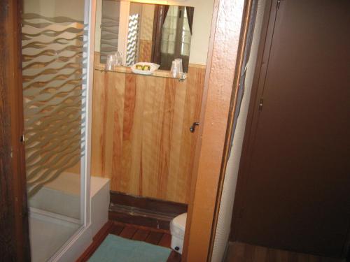 a small bathroom with a shower and a toilet at Hotel Chaumiere - in Tournon-sur-Rhône