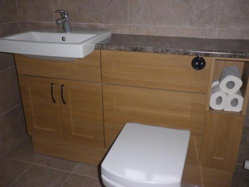 Un baño de Soča House