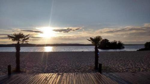 deux palmiers sur une plage au soleil en arrière-plan dans l'établissement Mobil-home de charme dans les Landes, neuf, tout équipé, à Gastes