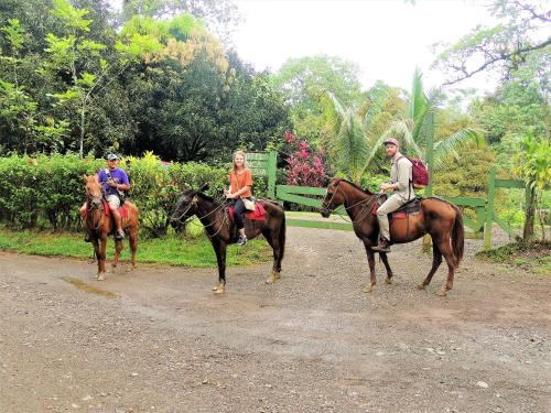Gallery image of Hotel Finca Maresia in Drake
