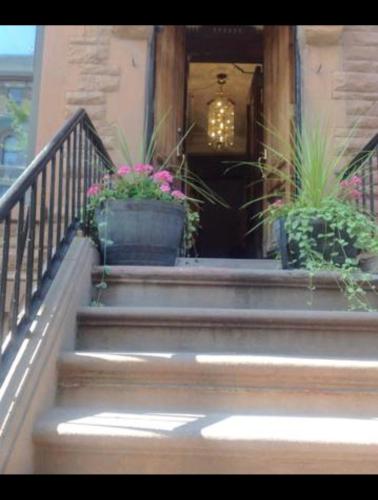 um conjunto de escadas com vasos de plantas sobre eles em Harlem Brownstone em Nova Iorque