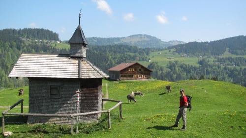 Naturlandschaft in der Nähe der Ferienwohnung