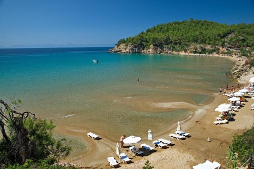 Φωτογραφία από το άλμπουμ του Alonissos Beach Bungalows And Suites Hotel  στην Αλόννησο