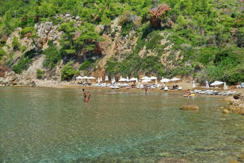 Φωτογραφία από το άλμπουμ του Alonissos Beach Bungalows And Suites Hotel  στην Αλόννησο