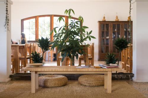 a wooden table with potted plants in a room at Ondina Guesthouse in Casais de São Lourenço