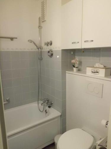 a bathroom with a toilet and a tub and a sink at kloi und scheee in Oberstaufen