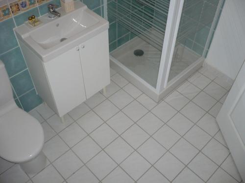 a bathroom with a toilet and a sink and a shower at Les Convertigues in Montjoire