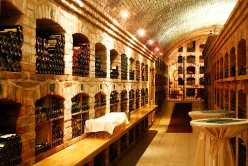 une cave à vin avec un mur de bouteilles de vin dans l'établissement Hotel Matyšák, à Bratislava