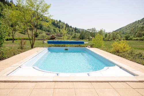 een zwembad in het midden van een tuin bij 3A Guest House in Sicasău