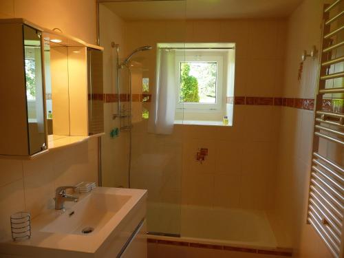 a bathroom with a tub and a sink and a shower at Domaine de Marsaguettes in Morlhon-le-Haut