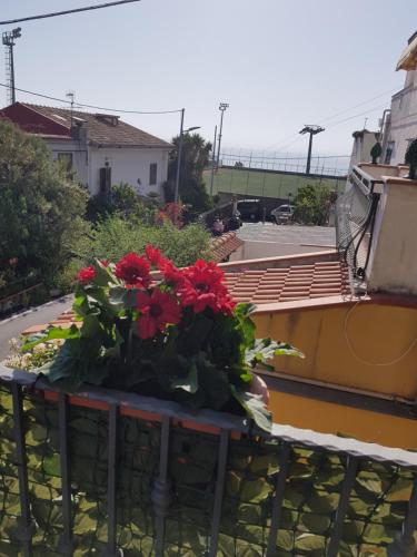 Zahrada ubytování Casa Aurora