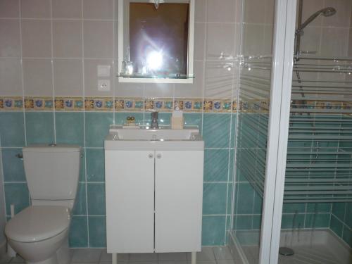 a bathroom with a toilet and a sink and a shower at Les Convertigues in Montjoire