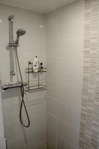 a bathroom with a shower with a shower head at Houseboat Linquenda in Woubrugge
