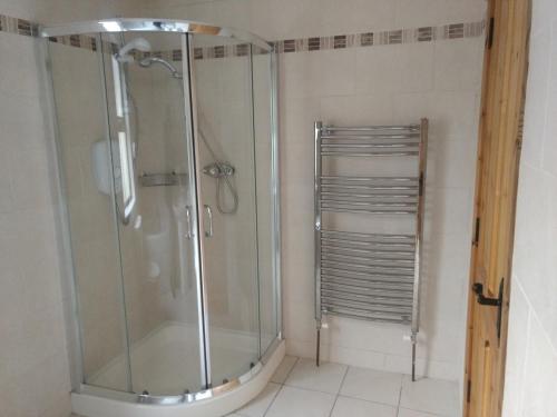 een douche met een glazen deur in de badkamer bij Chapel Cross House in Ballinskelligs