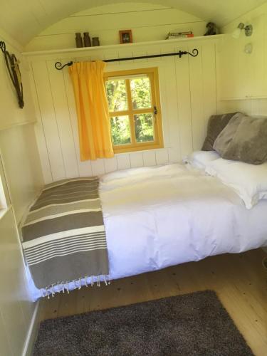 two beds in a small room with a window at Blackstairs Shepherds Huts in Killedmond