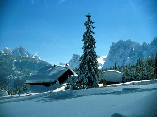 a snow covered cabin with a pine tree in the mountains at Ferienwohnung Laserer in Gosau