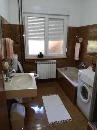 a bathroom with a sink and a washing machine at Apartman Sara in Pula