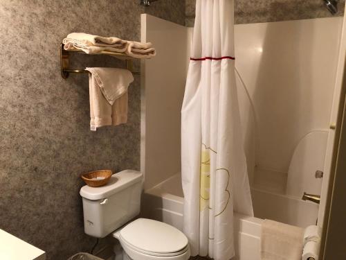 Bilik mandi di Countryside Suites Omaha