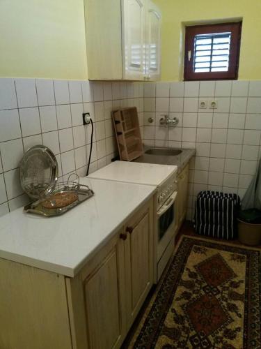 a kitchen with a sink and a counter top at Apartman Sucuraj in Sućuraj