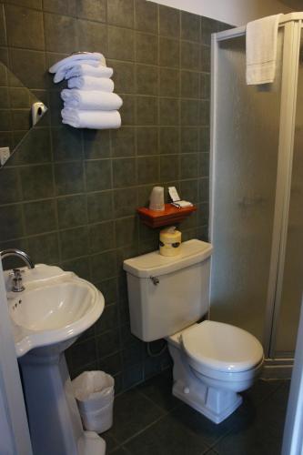 a bathroom with a toilet and a sink and a shower at Motel Clair Mont in Sainte-Agathe-des-Monts