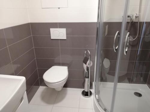 a bathroom with a toilet and a glass shower at Apartmán Skalnička - Tatranská Lomnica in Tatranská Lomnica