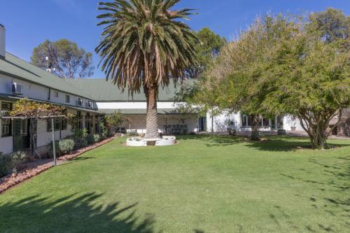 a palm tree in a yard next to a building at Lemoenfontein in Beaufort West