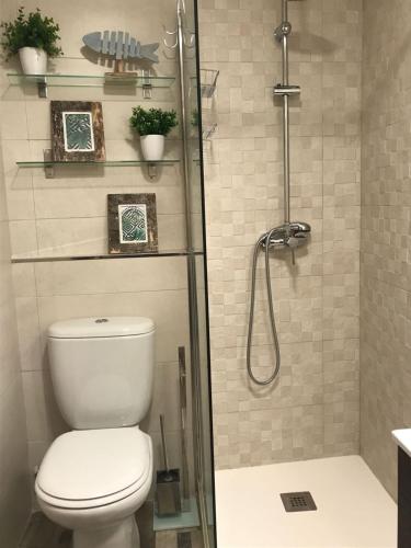 a bathroom with a toilet and a shower at Casa Anastasia I in Buendía