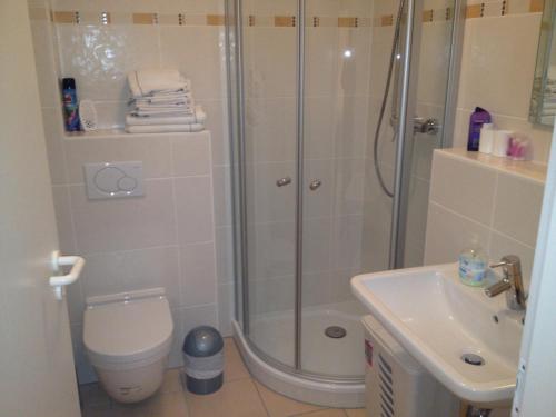 a bathroom with a shower and a toilet and a sink at Apartment Alexander Bad Kreuznach in Bad Kreuznach