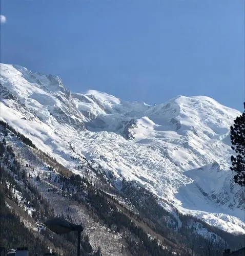 Appart'Hotel Aiguille Verte & Spa photo 64