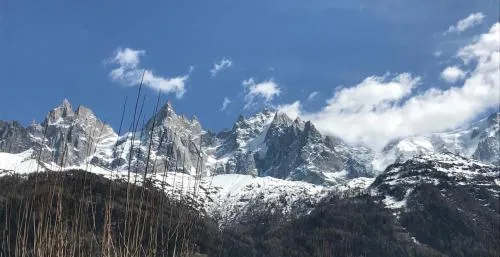 Appart'Hotel Aiguille Verte & Spa photo 63