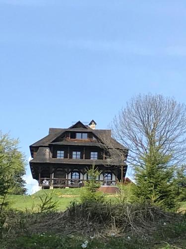 a large wooden house sitting on top of a hill at Blyzhche Neba in Yablunytsya