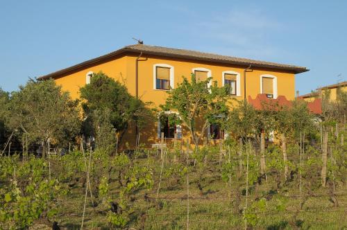 una casa en medio de un campo de vides en Il Ciliegio Apartment, en Monti