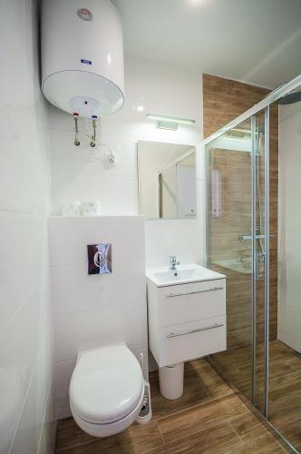 a bathroom with a toilet and a sink and a shower at Sloneczne Sarbinowo in Sarbinowo