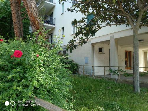 a building with a bush with a red rose at Charme&Chic in Trieste
